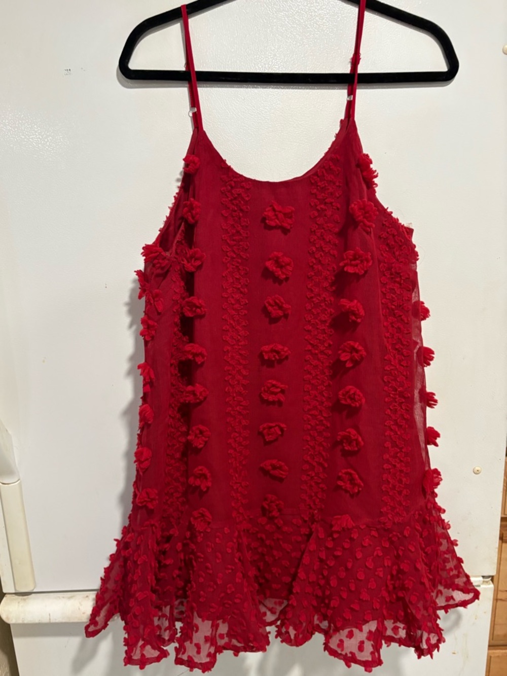 ENTRO Anthropologie
Red Floral Appliqué Mini
Dress